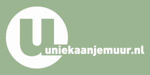 Uniek-aan-je-muur