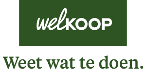 Gouden Sponsor Wijkfeest de Zuidlanden 2024 | Welkoop